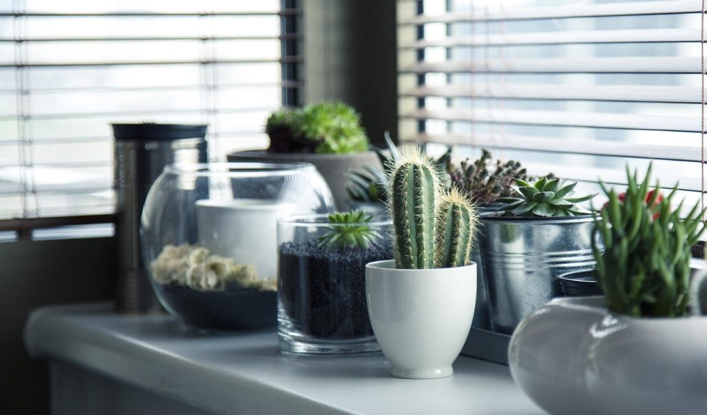 Een slimme tuin met regenwateropvang: maximaliseer je resources in de stad